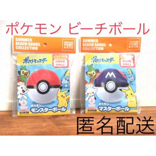 ポケモン(ポケモン)のポケモン 浮き輪 ビーチグッズ モンスター＋マスターボール  うきわ２点セット(マリン/スイミング)