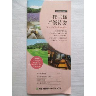 東急不動産ホールディングス 株主優待(その他)