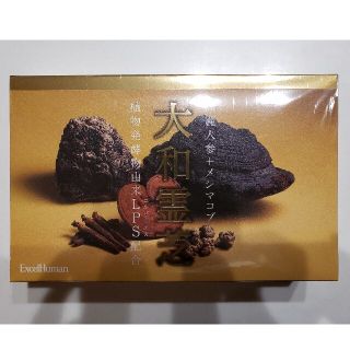 エクセルヒューマン大和霊芝2箱