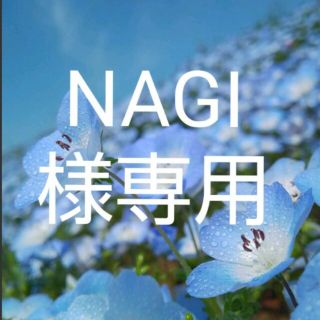 NAGI様専用(その他)