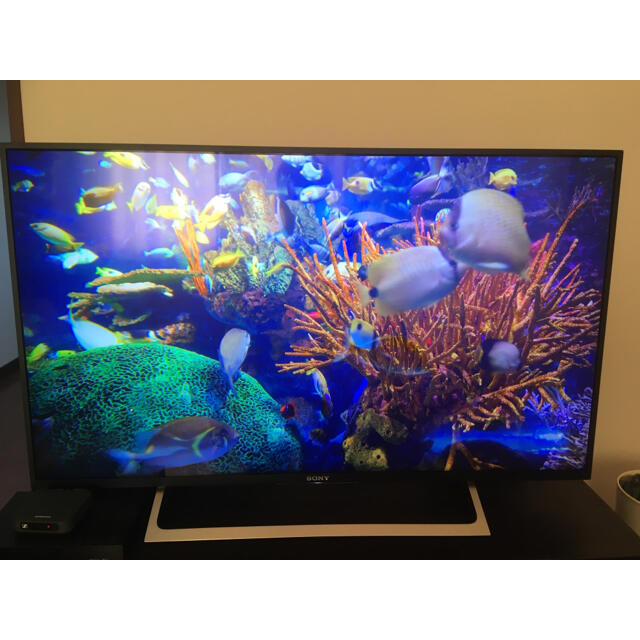 テレビ/映像機器SONY 4k 高画質　43インチ　液晶テレビ　KJ-43X8000E