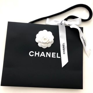 シャネル(CHANEL)の🖤シャネル🤍美品✨ショッパー💖ガーメント💖計2点セット❣️(ファッション)