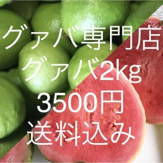 22 グァバ 2kg 3500円（常温郵送）(フルーツ)