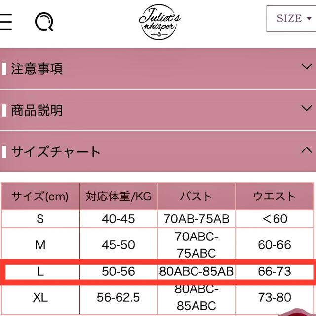 レディース　水着 レディースの水着/浴衣(水着)の商品写真