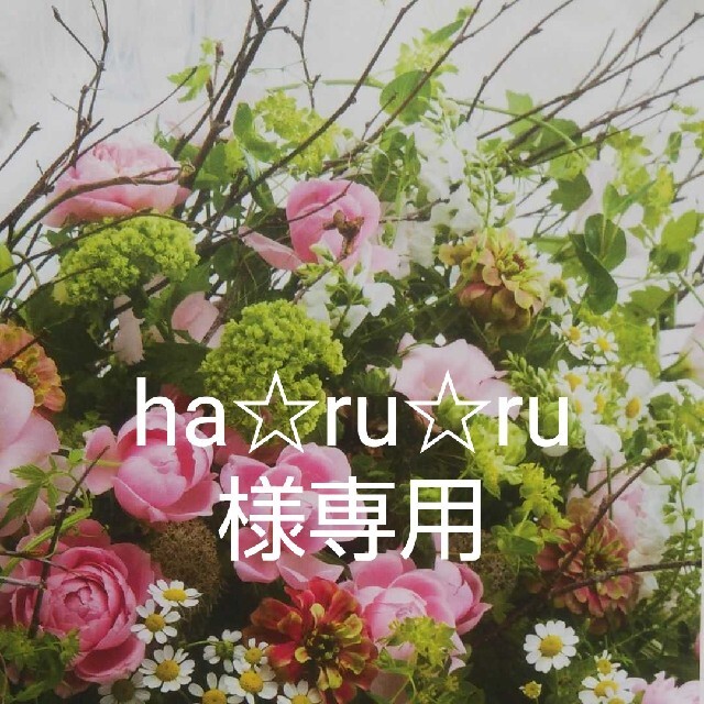 ha☆ru☆ru様専用のお品 ハンドメイドのファッション小物(その他)の商品写真