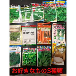 野菜の種 3種セット(野菜)