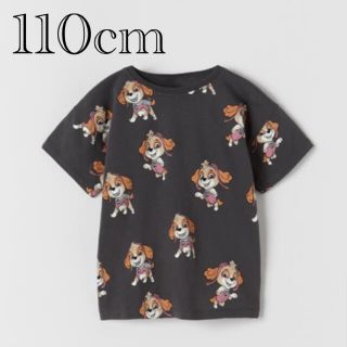 ザラキッズ(ZARA KIDS)の《新作》新品　パウパトロール　スカイ　Tシャツ 4-5歳　110cm(Tシャツ/カットソー)