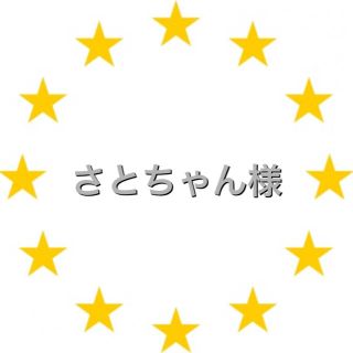 カワダ(Kawada)のさとちゃん様　専用　アイロンビーズ(各種パーツ)