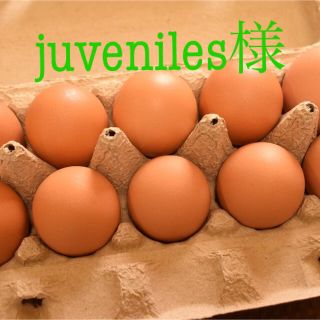 juveniles様専用　訳ありたまご30個(野菜)