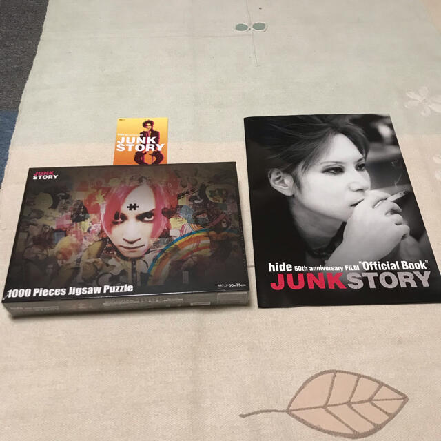 hide Junk Story パズル パンフレット ポストカード 新品未開封
