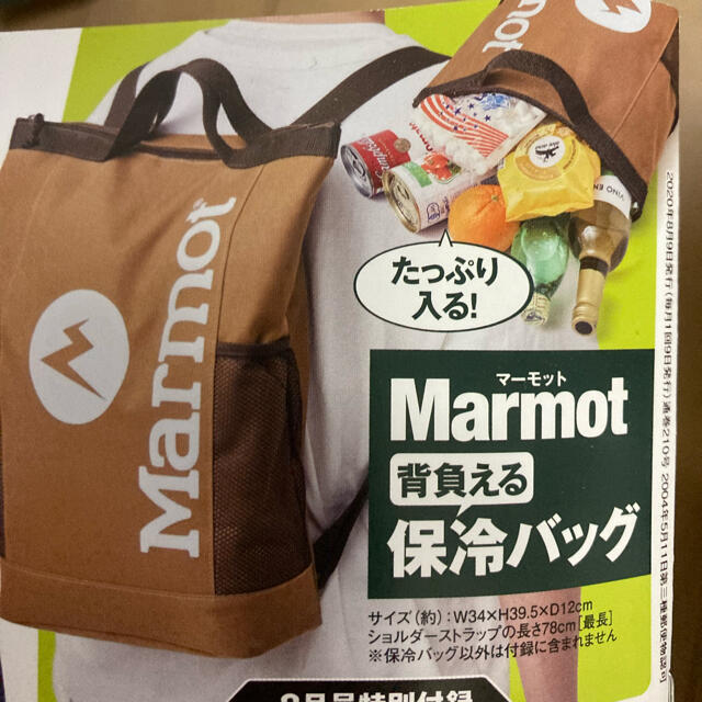 MARMOT(マーモット)のMARMOT 背負える保冷バッグ リュック マーモット 新品 モノマックス  メンズのバッグ(バッグパック/リュック)の商品写真