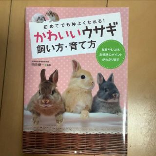 かわいいウサギ飼い方・育て方 : 初めてでも仲よくなれる!(住まい/暮らし/子育て)