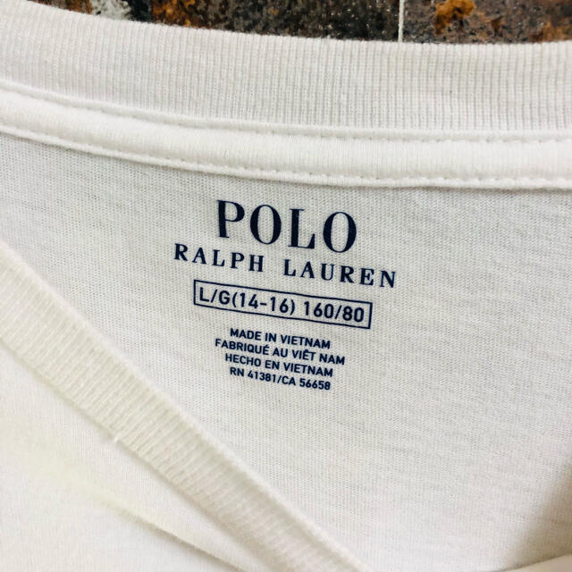 POLO RALPH LAUREN(ポロラルフローレン)の■美品■ポロラルフローレンベアー Tシャツ　L レディースのトップス(Tシャツ(半袖/袖なし))の商品写真