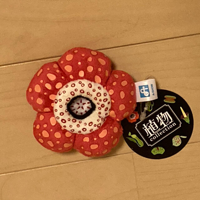 新品未使用【植物展 ラフレシアクッション】おまけ付き | monsterdog