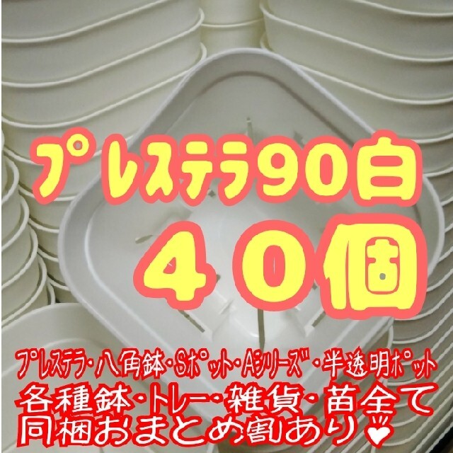 【スリット鉢】プレステラ90白40個 多肉植物 プラ鉢 ハンドメイドのフラワー/ガーデン(プランター)の商品写真