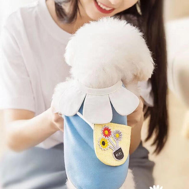 犬服　春夏服　ポケット付きのワンピ その他のペット用品(犬)の商品写真