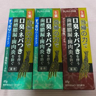 サンスター(SUNSTAR)のサンスター　薬用塩ハミガキ　85g  当帰の力で(歯磨き粉)