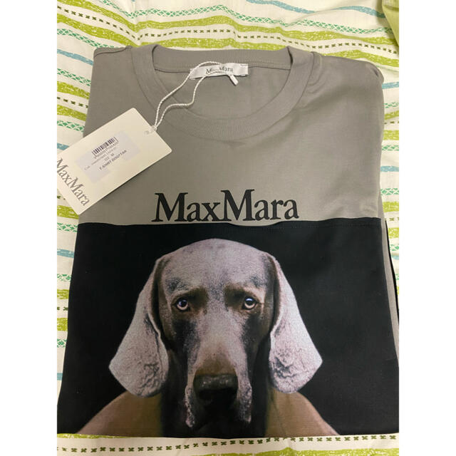 Max Mara dog tシャツ