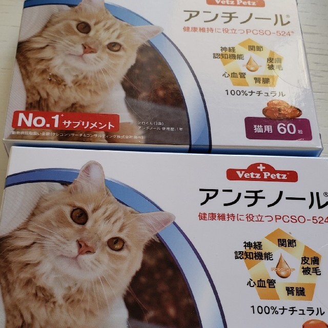 アンチノール　猫用　60粒　1箱