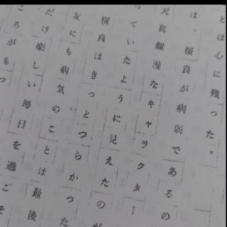 まとのん様　専用(その他)