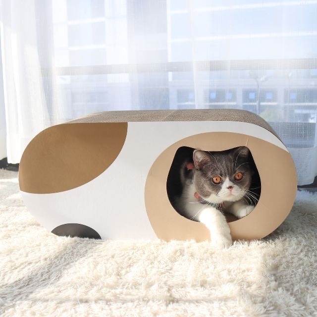 猫爪とぎ*大型トンネルversion ※送料込