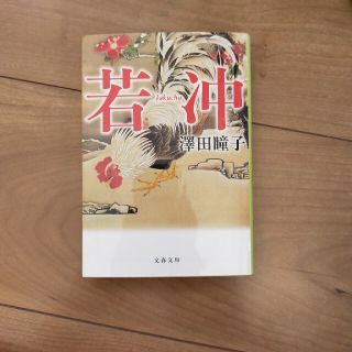 若冲(文学/小説)