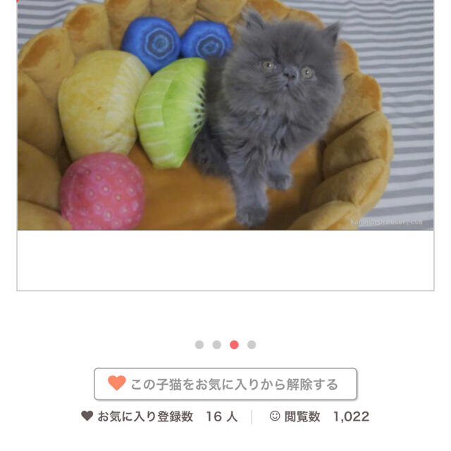 ys様専用 8月大幅値下げ 登山用品 sunshinestore-usedom.de