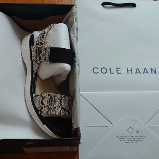 コールハーン(Cole Haan)のスポーツサンダル【COLE HAAN】Grand Ambition Carmel(サンダル)