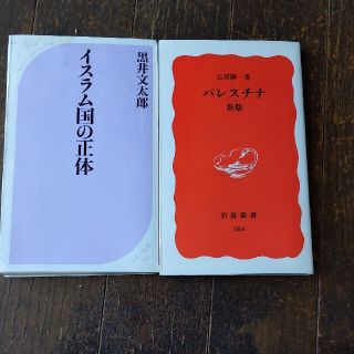 イワナミショテン(岩波書店)の2冊セット　パレスチナ 新版　イスラム国の正体　岩波新書　中東　ユダヤ人　シリア(文学/小説)