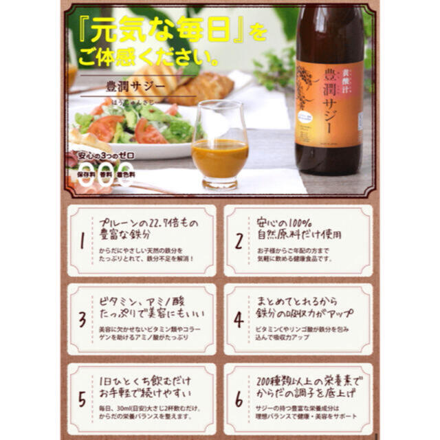 食品/飲料/酒豊潤サジー　フィネス　1000ml×2本　サジー果皮のこつぶおまけ付き