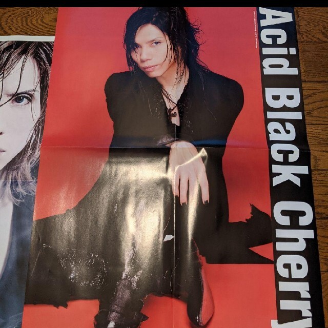 acid black cherry ポスター　セット売り！