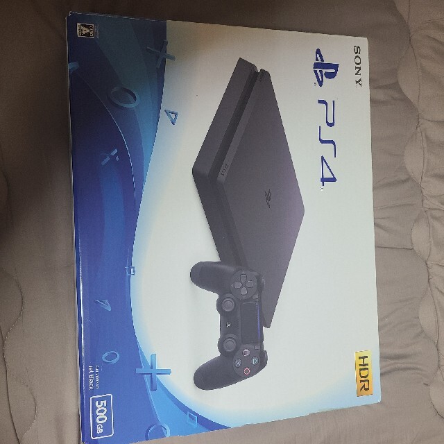 PlayStation4 2100A B01 動作品 - www.sorbillomenu.com