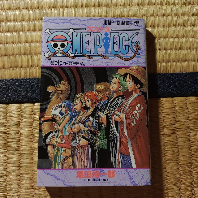 人気絶頂 one piece 巻22 21超人気 Entawayn Com 人気絶頂 one piece 巻22 21超人気 Entawayn Com