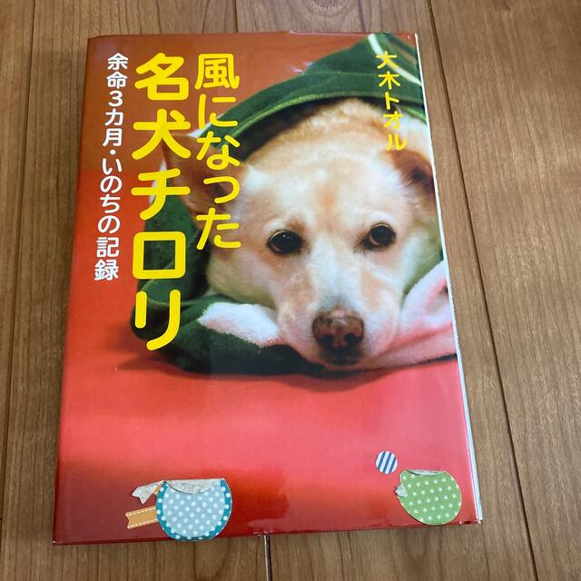風になった名犬チロリ 余命３カ月・いのちの記録 | フリマアプリ ラクマ