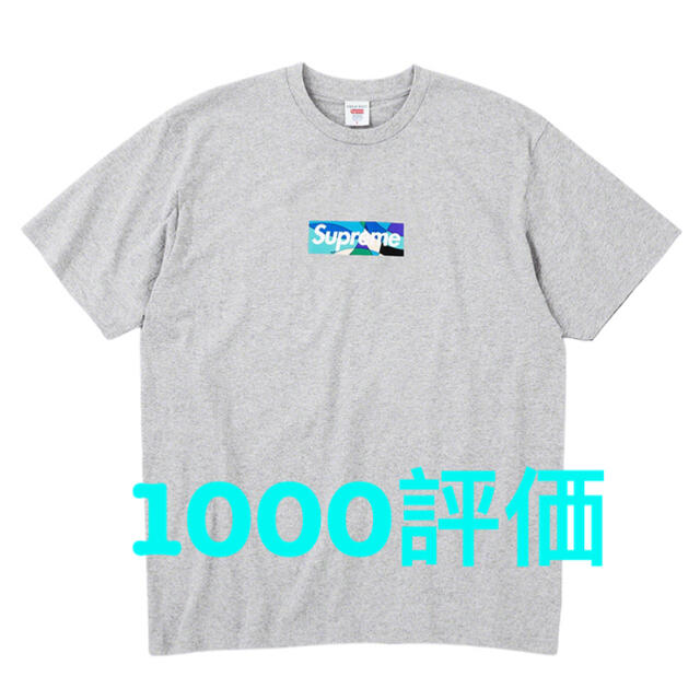 Supreme(シュプリーム)のSupreme Emilio Pucci Box Logo Tee 灰青M メンズのトップス(Tシャツ/カットソー(半袖/袖なし))の商品写真