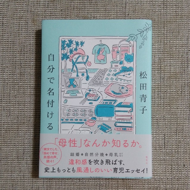 自分で名付ける エンタメ/ホビーの本(文学/小説)の商品写真