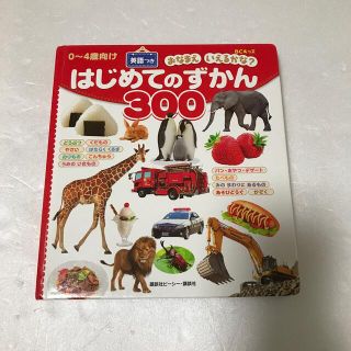 はじめてのずかん　300 図鑑　絵本　0〜4歳向け(絵本/児童書)