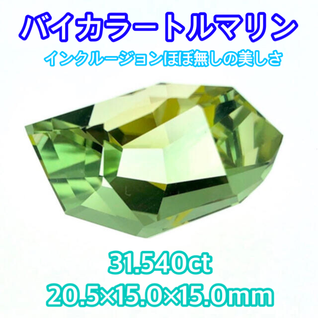 【魔法のバイカラー】バイカラートルマリン 31.540ct