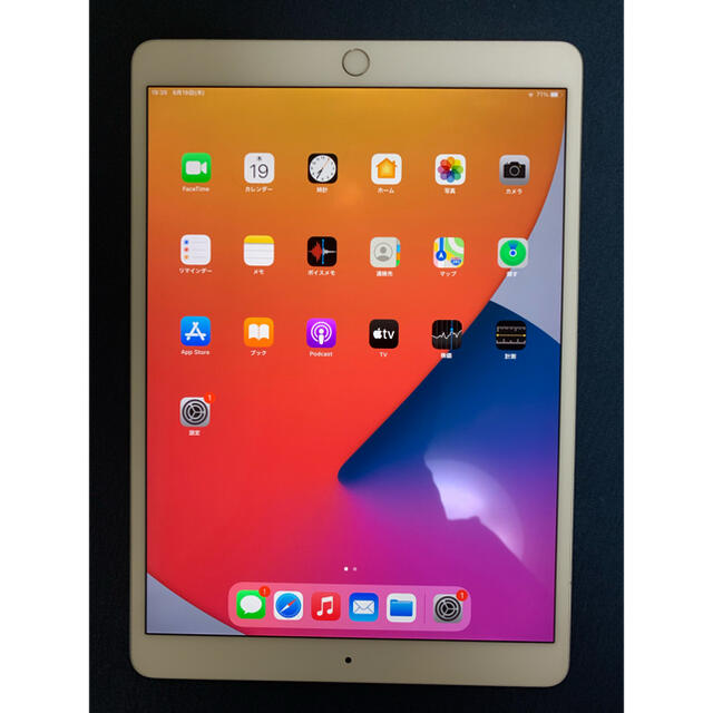 iPad pro10.5インチ 256GB wifiモデルジャンク