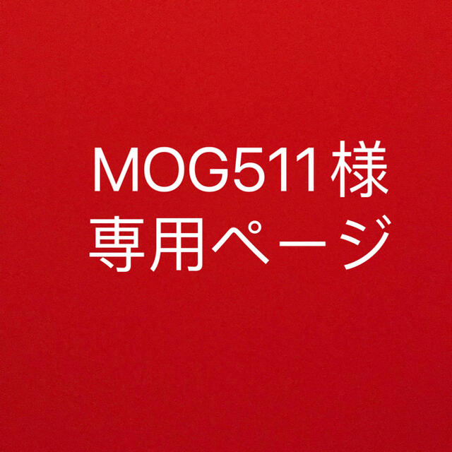 人気の新作 MOG511様　専用ページ その他