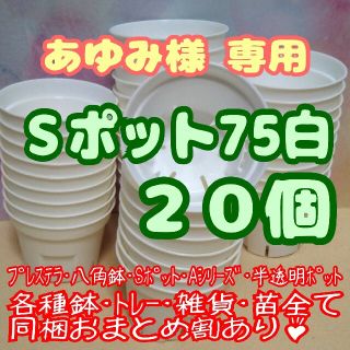 【スリット鉢】Ｓポット丸型75白20個 2.5号 プレステラ 多肉植物 プラ鉢(プランター)