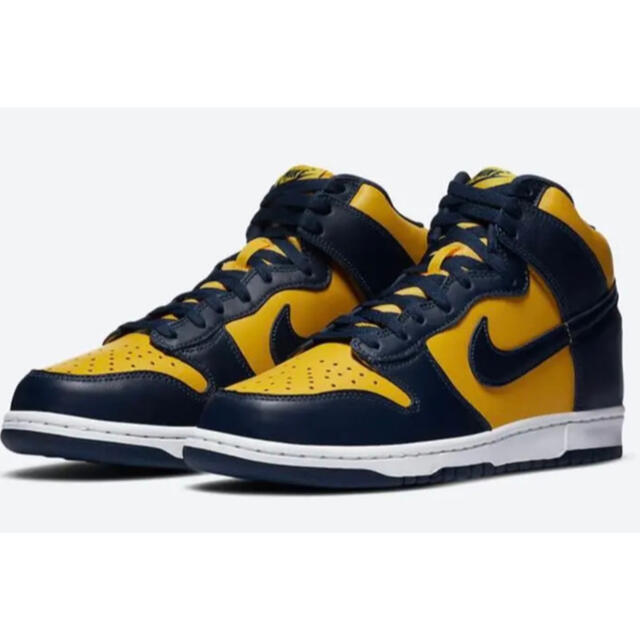 Nike Dunk High Michigan 2020