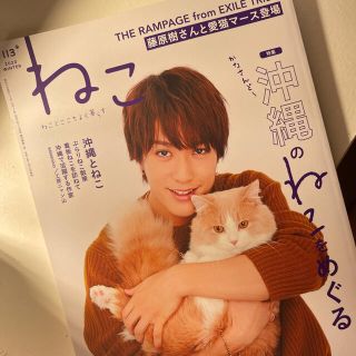 ザランページ(THE RAMPAGE)の藤原樹 ねこ No.113(その他)