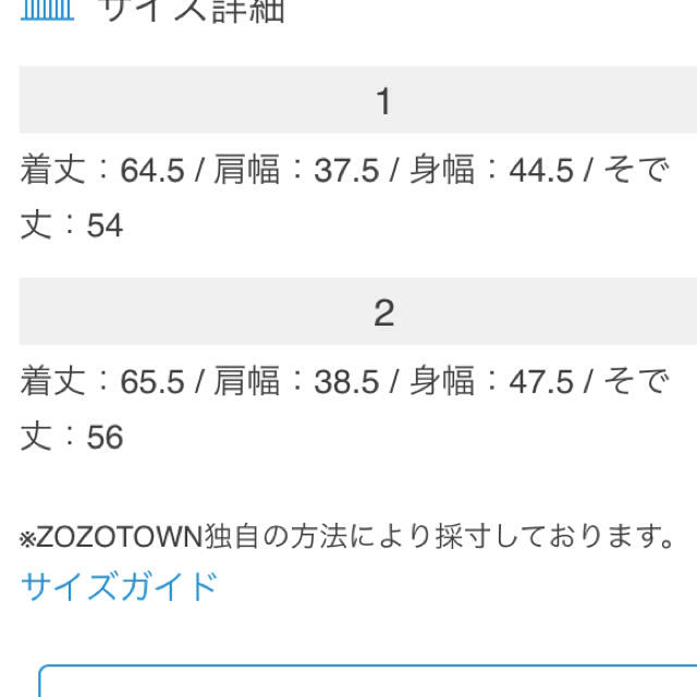 JOURNAL STANDARD(ジャーナルスタンダード)のコットンシャツ レディースのトップス(シャツ/ブラウス(長袖/七分))の商品写真