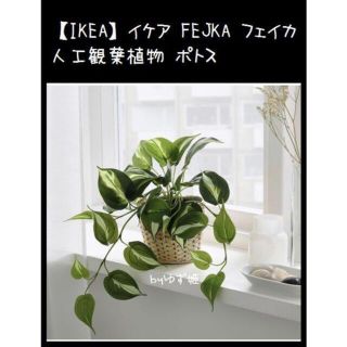 イケア(IKEA)の【IKEA】イケア FEJKA フェイカ 人工観葉植物 ポトス(置物)