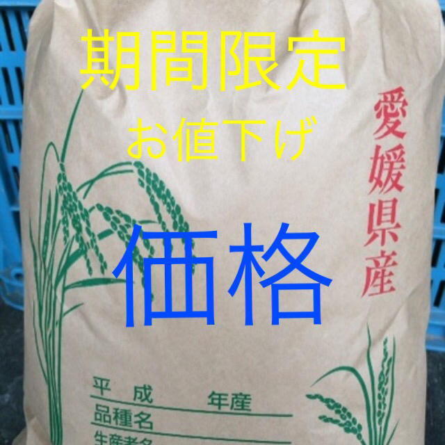 期間限定価格！新米自家栽培一等級こしひかり30Kg玄米