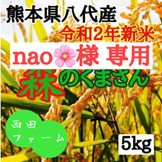 熊本八代産 令和2年産 森のくまさん 5kg 同梱あり(米/穀物)