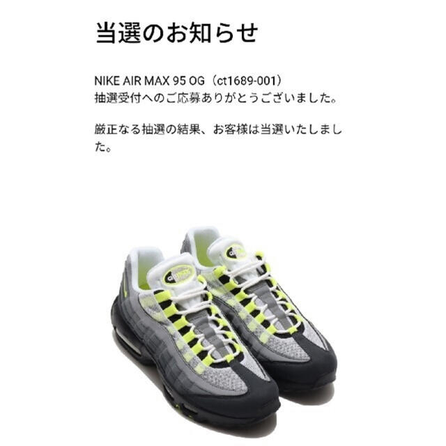 NIKE(ナイキ)の【新品未使用】NIKE AIR MAX 95  メンズの靴/シューズ(スニーカー)の商品写真