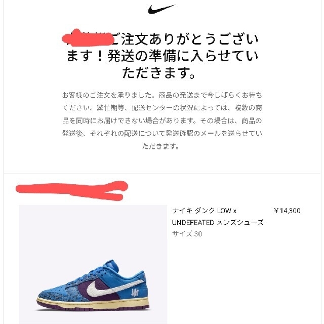 NIKE ダンク LOW Undefeated　30cm