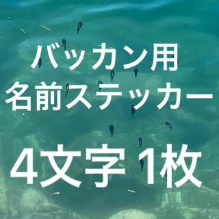 バッカン用名前ステッカー 4文字1枚  シマノ がまかつ マルキュー ダイワなど(その他)